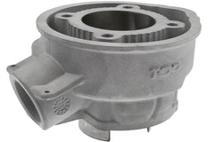 Top Performance 80cc Minarelli AM6