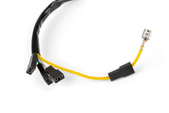 Ontsteking Stator 80W Derbi / Minarelli AM6 (ducati)