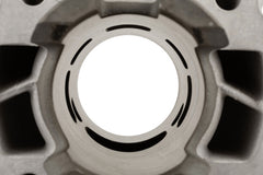 Malossi MHR Team 50cc Cilinder Derbi euro 3/4