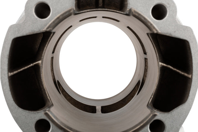 2Fast 100cc Cilinderkit Minarelli Am6