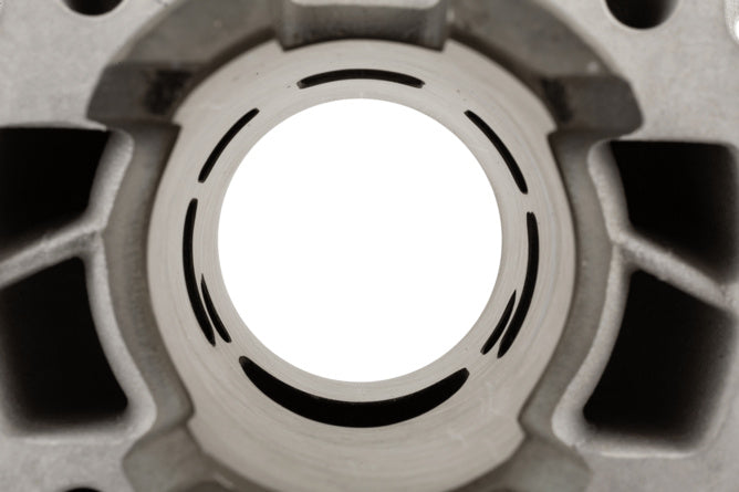 Malossi MHR Team 50cc Cilinder Derbi euro 3/4